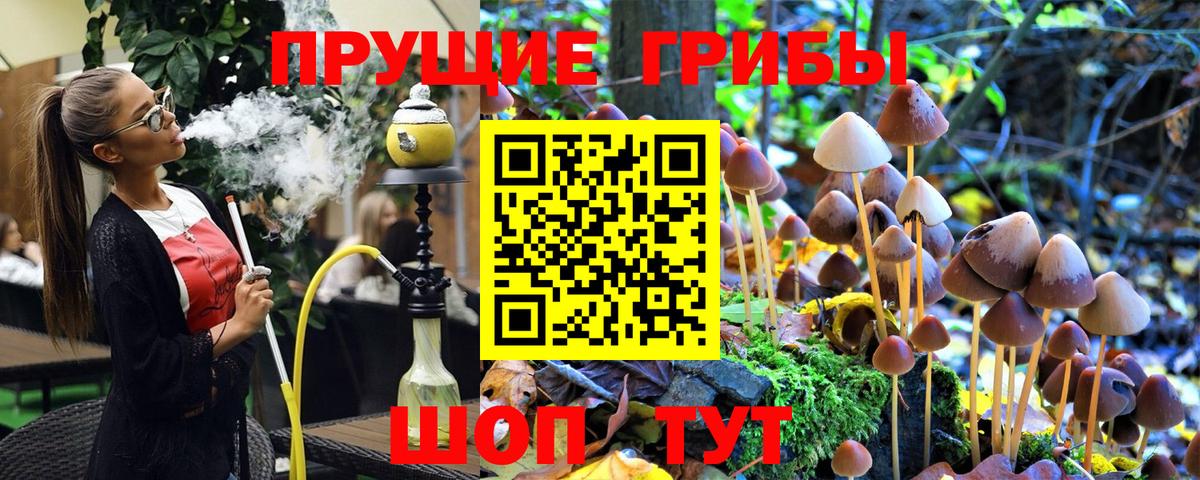 Галлюциногенные грибы Cubensis  Псилоцибиновые грибы Psilocybine cubensis  Вход с VPN  Кушва 
