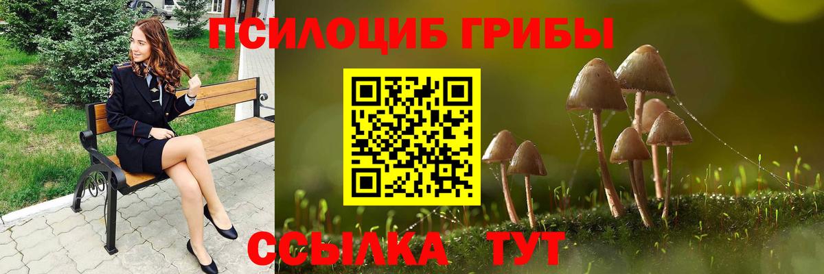 Галлюциногенные грибы Psilocybe Кушва
